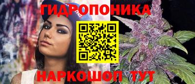a pvp Ставрополь