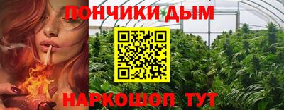 a pvp Ставрополь